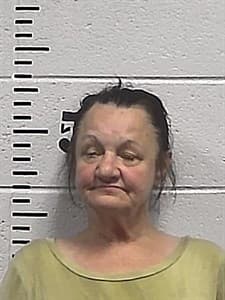 Brenda Lee Chilcutt mugshot
