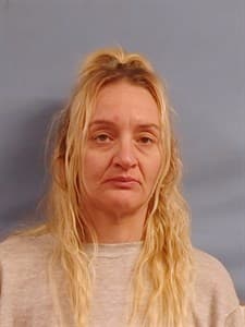 Roxanne Lynn Dennison mugshot