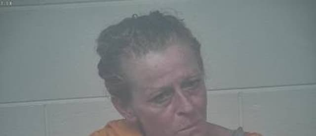 Tabatha Lynn mugshot