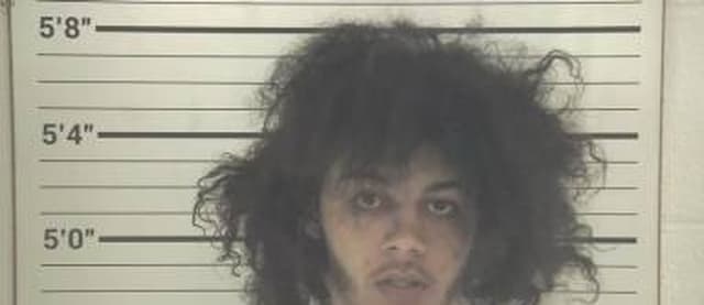 Taeshawn Reese mugshot