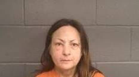 Terri Griggs mugshot