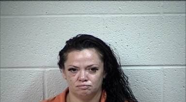 Tiffany Johnson mugshot