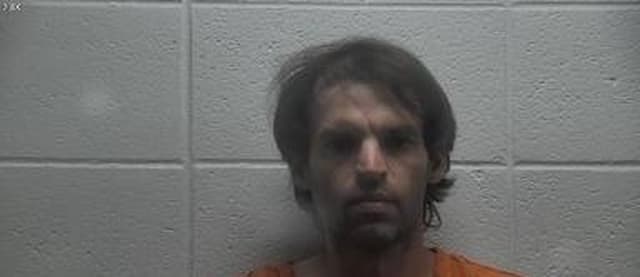 Troy Lewis mugshot
