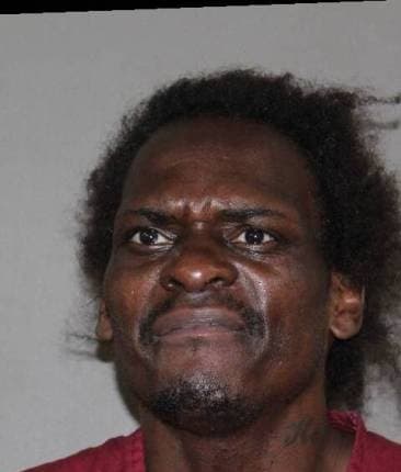 Willie Mims-Henderson mugshot