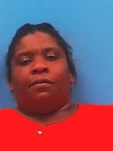 Brittney Marie Houser mugshot