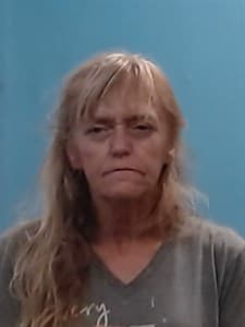 Lisa J Gibson mugshot