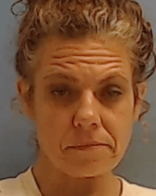 Vera Michelle Perez mugshot