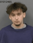 Logan Stanley Baker mugshot