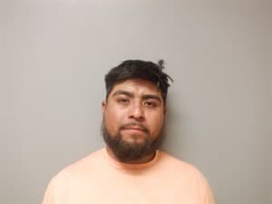 Luis David Hernandez-Murcia mugshot