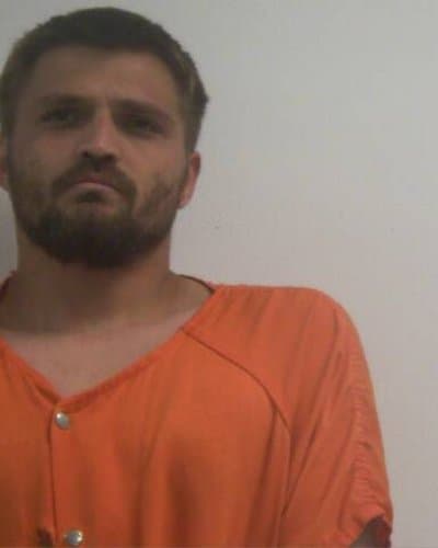 TREVOR JOHN ANDERSON mugshot