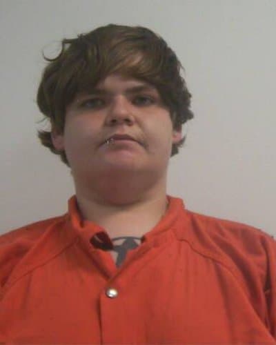 MICHELLE LYN COOK mugshot