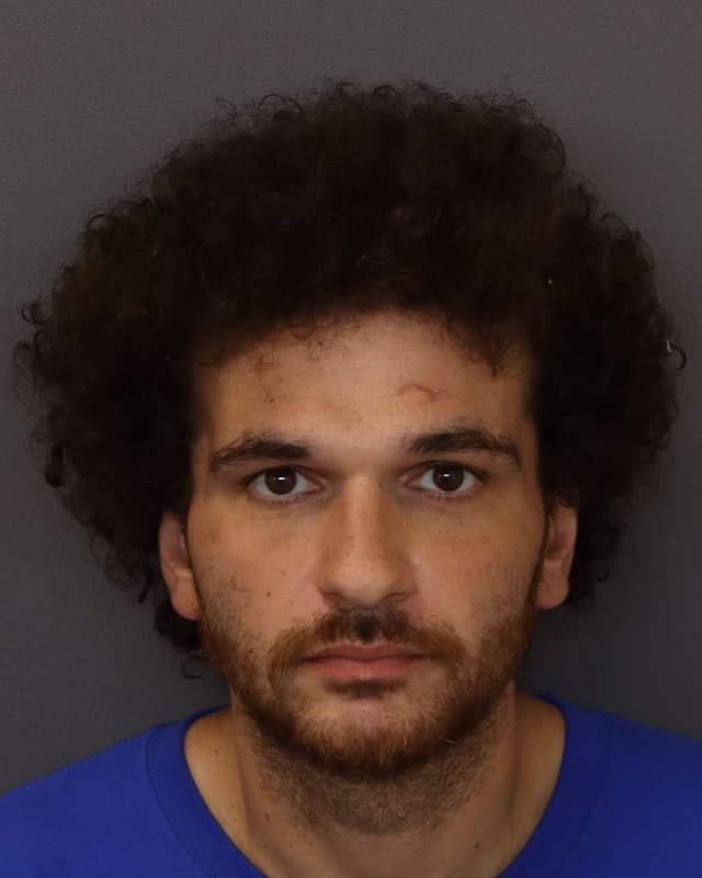 Matthew Arman Ansaripour mugshot