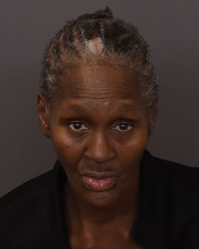 Wanda Lynn Nunn mugshot