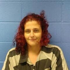 Atlanta Turner mugshot