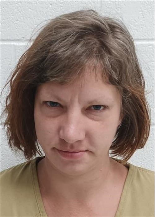 Heidi Ariana Leheup mugshot