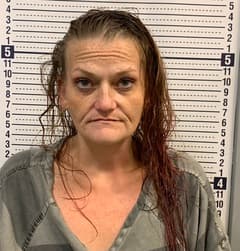 Elizabeth Theis mugshot
