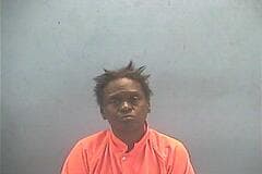 Lynn Rochelle Williams mugshot