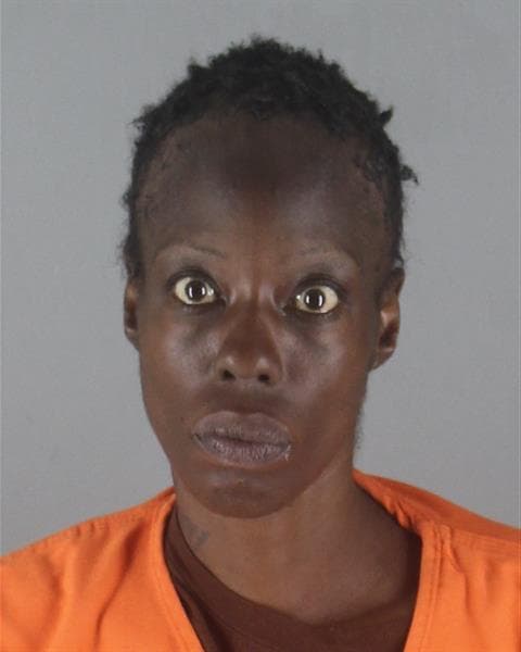 Donna Venice Louise Taylor mugshot