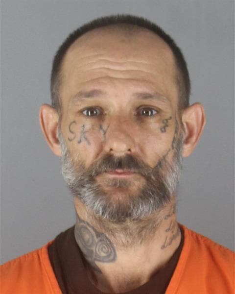 James Dennis Wilson mugshot