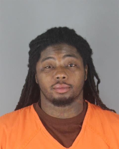 Lushawn James Williams mugshot