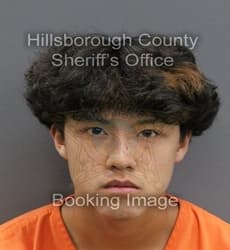 ALEX QUOC DANG mugshot