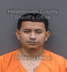 ANDERSON SAUL CALLES MELGAR mugshot
