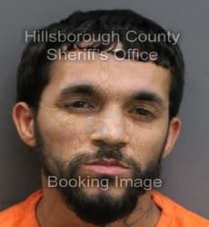 ANGEL RAFAEL ROLON mugshot