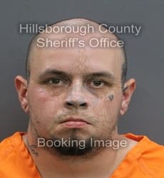 DAMON ROBERT BRYAN mugshot