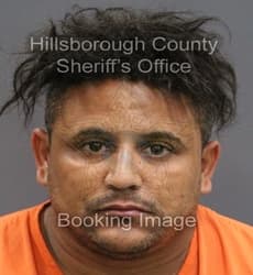 ORLANDO ANIEL BORGES GONZALEZ mugshot