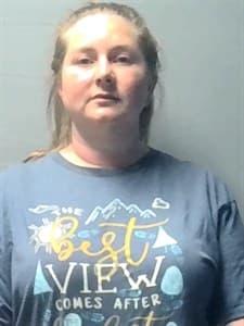 Amanda Erkman mugshot