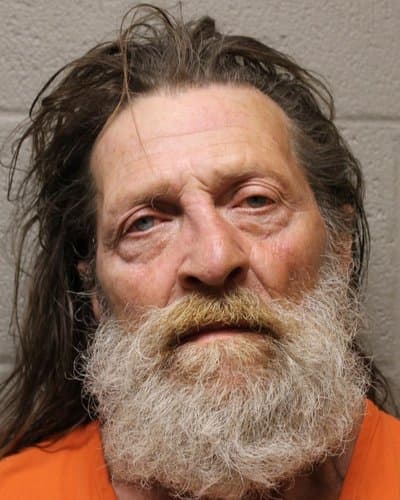 JOEL LYNN WIGGINS mugshot