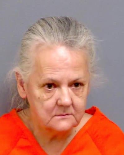 LORI FAGAN mugshot
