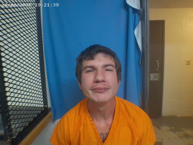 Michael David Williams mugshot