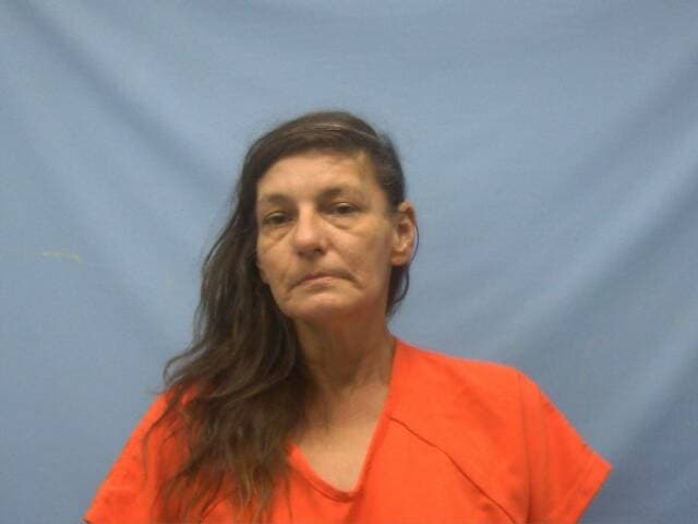 Jeannie Sue Hardin mugshot