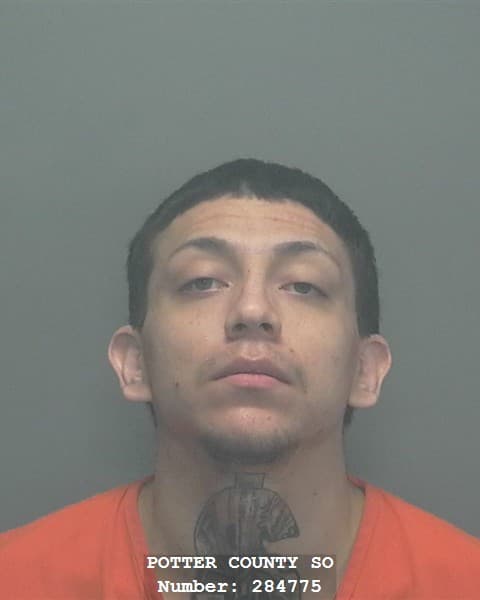 JESUS REFUGIO JR AVILA mugshot