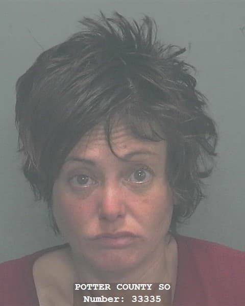 BRANDY JAY AYERS mugshot