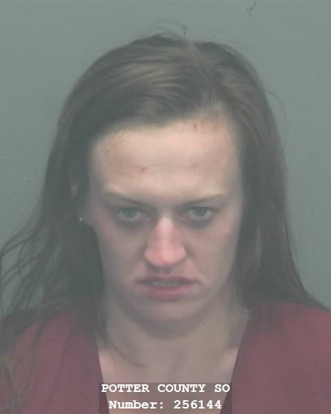 ALLISON BRYNN PAULA WILLIAMS mugshot