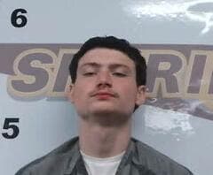 Tristen Holifield mugshot