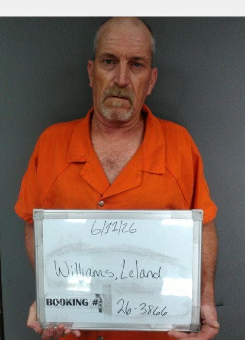 Leland Dewayne Williams mugshot