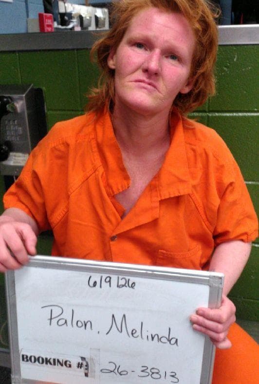 Melinda Sue Palon mugshot