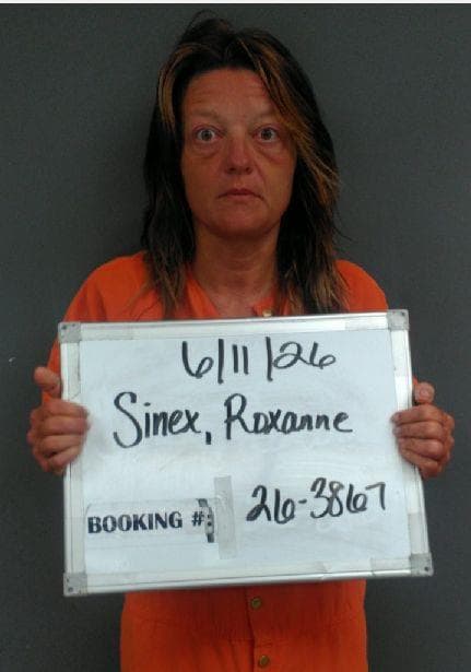 Roxanne Sinex mugshot