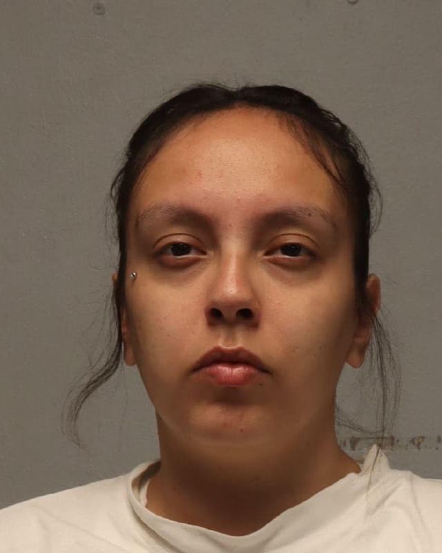 Jocelyn Sue Martin mugshot