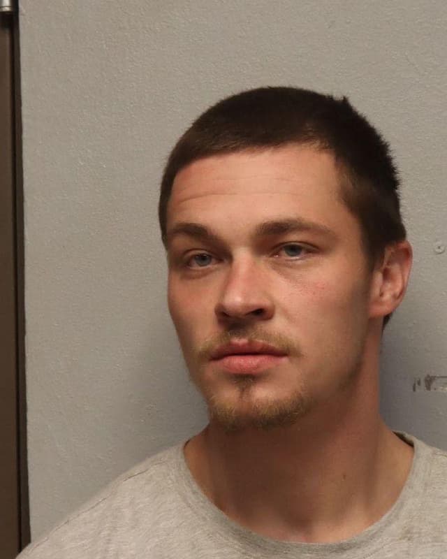 Logan Jeffery Niemi mugshot