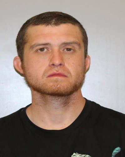 DANIEL TC ROBINSON mugshot