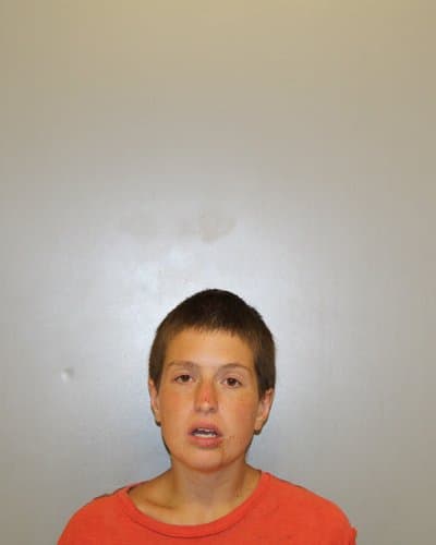 SADYE O ALFARO mugshot