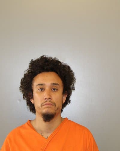 VINCENT CARTER mugshot