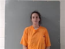 Laura Lee Wright mugshot