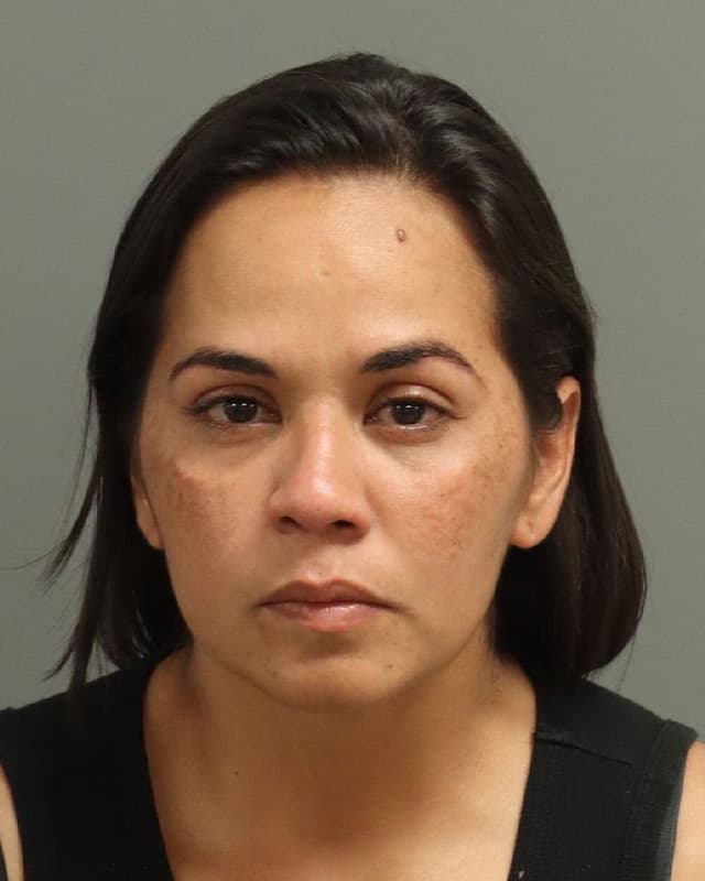 ALIRISMAR VERGARA-GIL mugshot