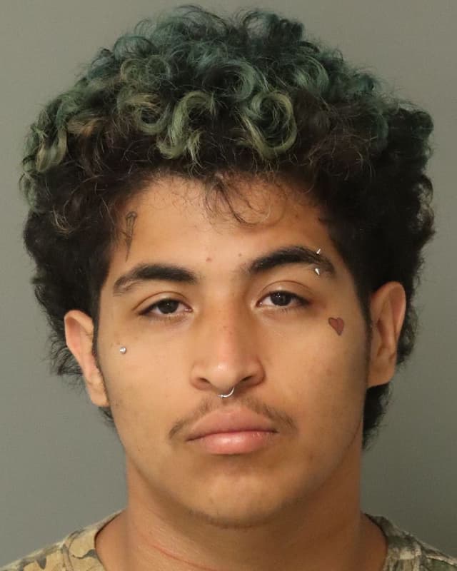 DANIEL ANDREE JIMENEZ-MEJIA mugshot