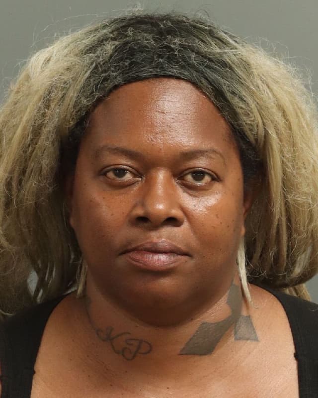 HEATHER MARIE HAYES mugshot